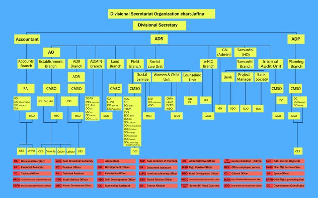 organization chart new
