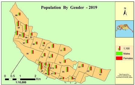 2019 population gender